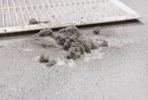 Best Professional Duct Cleaning Services  in Woodsboro, MD
