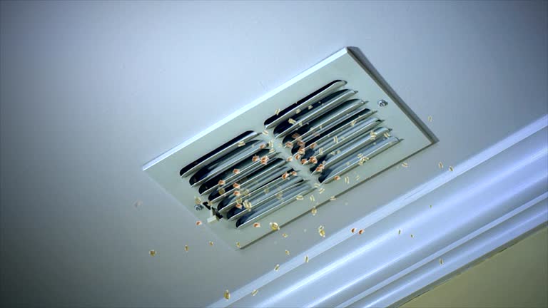 Best Air Duct Cleaning Near Me  in Woodsboro, MD